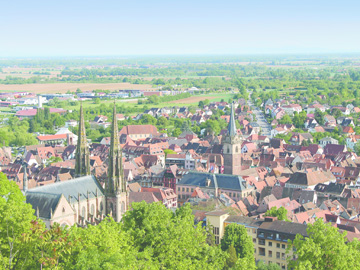 obernai-64728680-small-jpg