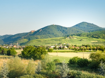 Séminaire prestigieux à Ribeauvillé